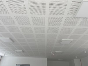 Acoustic Ceilings